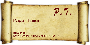 Papp Timur névjegykártya